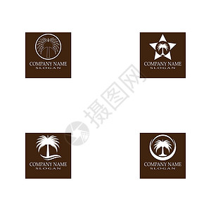 设置日期树徽标模板矢量符号旅行水果植物热带食物叶子海滩白色黑色棕榈背景图片