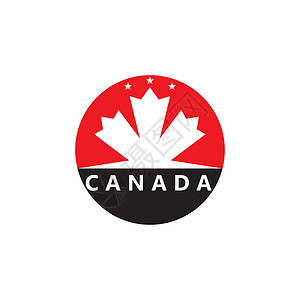 加拿大国家电视塔程式化的秋天枫叶树叶日志横幅旗帜插图季节白色标识红色叶子标签国家插画