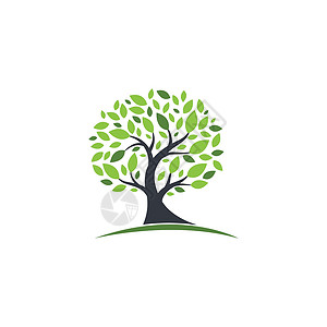 树标志模板矢量 ico绿色生态插图商业花园生长标识植物生活环境背景图片