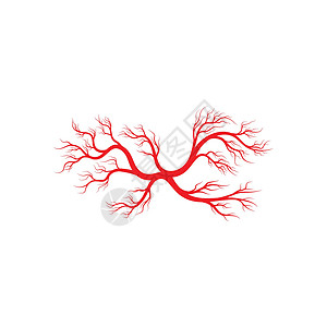 人体静脉和动脉插图设计标识药品生物学眼球血管曲线红色医疗眼睛解剖学背景图片