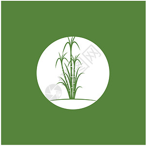 甘蔗 Logo 模板矢量符号植物生物横幅产品绿色叶子热带颗粒状果汁标识背景图片