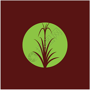 甘蔗 Logo 模板矢量符号食物热带颗粒状标识插图棕榈绿色果汁贴纸植物背景图片