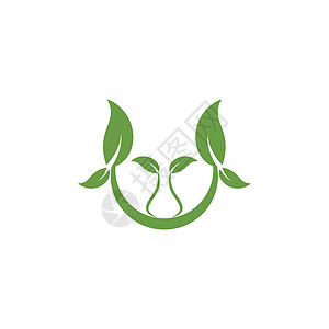 叶生态标志模板 vecto绿色白色环境生活网络插图叶子植物背景图片