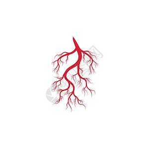 人体静脉和动脉插图设计眼睛解剖学曲线标识血管红色生物学医疗眼球药品背景图片