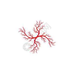 人体静脉和动脉插图设计宏观眼睛生物学医疗血管眼球曲线标识药品解剖学背景图片