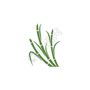 甘蔗 Logo 模板矢量符号产品颗粒状横幅生物标识食物绿色棕榈标签果汁背景图片
