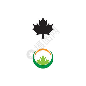 枫叶加拿大它制作图案枫叶矢量树叶艺术白色旗帜标识橙子插图植物季节红色插画