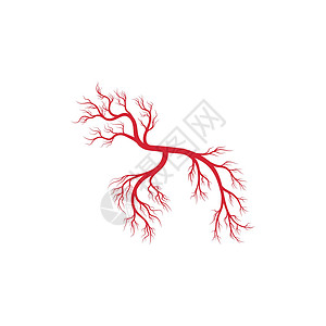 人体静脉和动脉插图设计药品标识红色血管曲线解剖学宏观生物学医疗眼睛背景图片