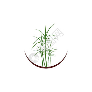 甘蔗 Logo 模板矢量符号热带贴纸颗粒状叶子生物食物果汁插图棕榈标识背景图片
