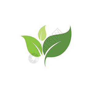 绿色树叶生态自然元素的标志生物回收企业推广生长品牌环境艺术公司平衡背景图片