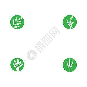 设置叶徽标模板矢量符号自然植物装饰品叶子生物生长生态绿色插图环境背景图片