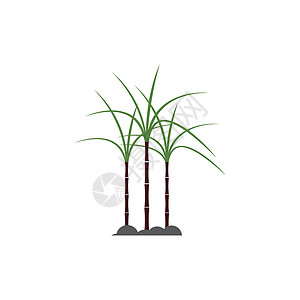 绿色LOGO甘蔗 Logo 模板矢量符号叶子果汁收成热带标签棕榈横幅贴纸植物食物插画