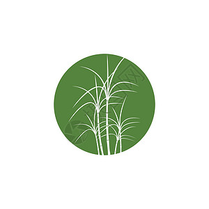 甘蔗 Logo 模板矢量符号热带颗粒状果汁绿色生物标签叶子食物收成标识背景图片