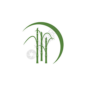 甘蔗 Logo 模板矢量符号标签热带横幅植物插图产品绿色贴纸叶子颗粒状背景图片