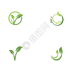 设置叶生态标志模板叶子绿色白色生活插图环境植物网络背景图片
