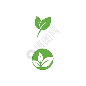 叶标志模板矢量符号生态环境绿色生物植物生长叶子插图装饰品背景图片