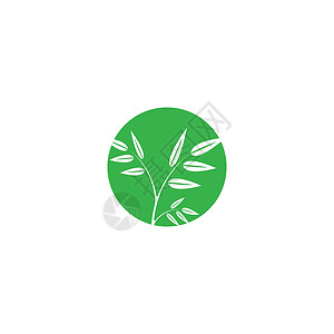 叶标志模板矢量符号自然环境插图装饰品生态植物生长叶子生物绿色背景图片