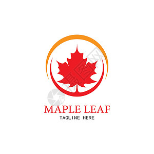 加拿大蒙特利尔市它制作图案枫叶矢量国家横幅艺术白色季节橙子插图红色旗帜黄色插画