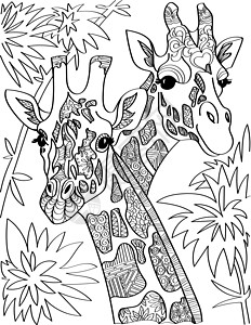 两只长颈鹿头用高大的树木无色线条画看着两侧 长颈鹿头长脖子与树叶背景着色书页背景图片