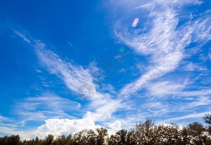 蓝色天空中白毛云 阳光照耀太阳 在松树上海滩天气旅行环境空气假期白色自由强光背景图片