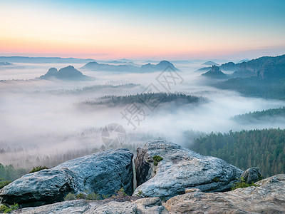 美丽的清晨风景 在沙石悬崖上 进入萨克森瑞士的深雾谷 德国风景山脉阳光太阳导游岩石公园全景山峰石头顶峰背景图片