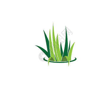 绿色芦荟草标志 vecto植物草地商业创造力芦荟圆形叶子季节性绿色生态插画
