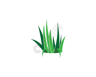 草标志 vecto商业季节性草地叶子生态芦荟圆形绿色白色植物背景图片