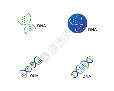 基因组测序D N A 标志矢量药品科学克隆插图化学生活公司原子技术基因组设计图片