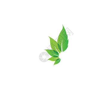叶生态自然元素矢量 ico插图植物公司标识生活装饰品商业美丽热带叶子背景图片