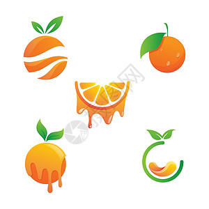 环形图标橙色标志设计矢量图标它制作图案产品果汁叶子花园农场环形饮食农业食物标识插画