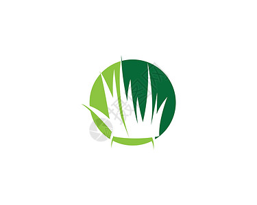 草标志 vecto插图草地生态叶子植物商业创造力绿色芦荟季节性背景图片