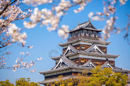 广岛城堡 在日本樱花季节的日间时间公园遗产城市旅游观光纪念碑建筑建筑学历史历史性背景图片