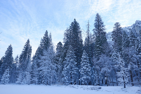 Yosemite 冬季天空风景岩石松树草地旅游公园白色国家森林自然高清图片素材