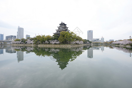 岛四岛花瓣城堡天空植物群旅行季节公园蓝色花园纪念馆高清图片