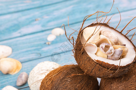 蓝色木质背景中的椰子和贝壳 将它们海洋化照片口渴季节配件框架睡衣旅行食物椰子壳假期背景图片