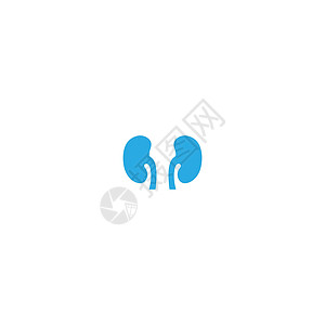 泌尿外科标志肾脏标志图标健康艺术科学泌尿科标识家庭医生插图器官帮助静脉背景图片