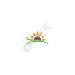 摄影标志太阳花标志图标概念插图工作室摄影标识绿色叶子沙龙公司金融圆圈插画