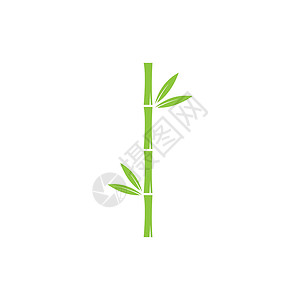 竹与绿叶矢量 ico发芽白色树叶植物绿色插图叶子温泉热带森林背景图片
