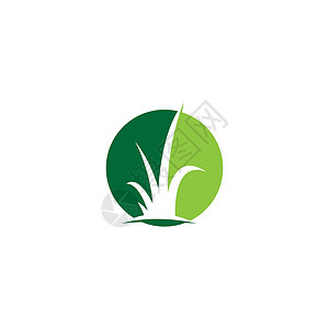 草标志 vecto季节性圆形插图商业创造力白色叶子绿色卡通片草地背景图片