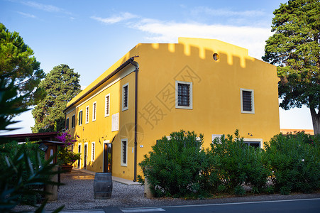 意大利托斯卡纳地区古老的黄色大别墅建筑博物馆城堡遗产房子游客建筑物公园旅行历史背景图片