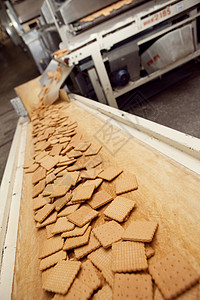 饼干生产工厂里做饼干的机器团体技术商业巧克力烘烤生产食品加工输送带食物工作背景