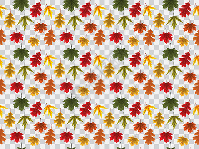 透明背景矢量图上的秋叶无缝图案绘画植物橙子叶子纺织品装饰品树叶墙纸插图黄色背景图片