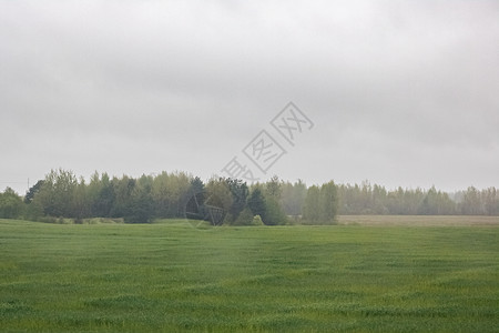 雾中秋天的田地风景 软焦点季节环境摄影天空天气爬坡多云天线场地气候背景图片