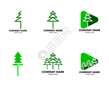 松树设计素材一套松树标志设计模板树木徽章生态标签爬坡植物园林插图木头花园插画