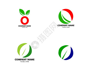 带叶日志的首字母 O 集标签生物字体公司植物婚礼品牌身份商业叶子背景图片