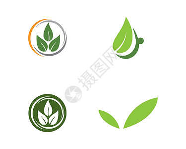 生态自然元素矢量 ico收藏热带标识插图装饰品美丽公司商业生活植物背景图片
