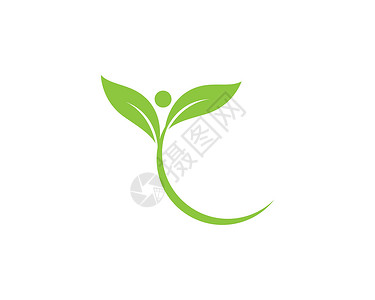 绿叶生态自然元素收藏美丽生活植物叶子插图装饰品公司标识热带背景图片
