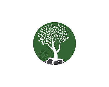 树图标标志模板健康生长叶子生物生态家庭插图生活树干植物背景图片