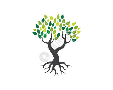 树图标标志模板生物叶子橡木植物生态树干绿色花园生长插图背景图片