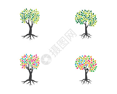 树图标标志模板家庭橡木生长树干生活生物叶子健康插图绿色背景图片